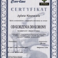 Powiększ obraz: certificate 42