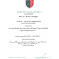 Powiększ obraz: certificate 5