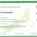 Powiększ obraz: certificate 13