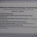 Powiększ obraz: certificate 11