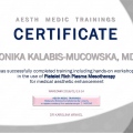 Powiększ obraz: certificate 13