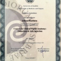 Powiększ obraz: certificate 4