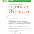Powiększ obraz: certificate 4