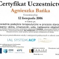 Powiększ obraz: certificate 12