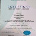 Powiększ obraz: certificate 7
