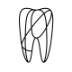Perfect Dental Care