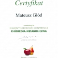 Powiększ obraz: certificate 12