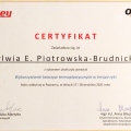 Powiększ obraz: certificate 27
