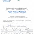 Powiększ obraz: certificate 1