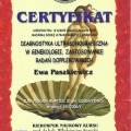 Powiększ obraz: certificate 7
