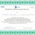 Powiększ obraz: certificate 7