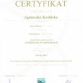 Powiększ obraz: certificate 10