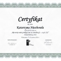 Powiększ obraz: certificate 13