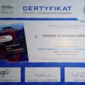 Powiększ obraz: certificate 12
