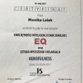 Powiększ obraz: certificate 10