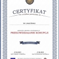Powiększ obraz: certificate 13