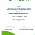 Powiększ obraz: certificate 6