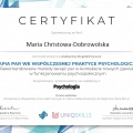 Powiększ obraz: certificate 14