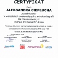Powiększ obraz: certificate 1