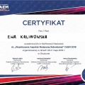 Powiększ obraz: certificate 9