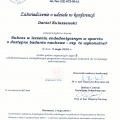 Powiększ obraz: certificate 4