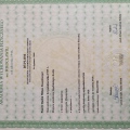 Powiększ obraz: certificate 2