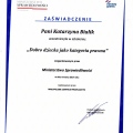 Powiększ obraz: certificate 14