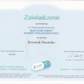 Powiększ obraz: certificate 86