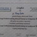 Powiększ obraz: certificate 2
