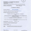 Powiększ obraz: certificate 13
