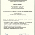 Powiększ obraz: certificate 5