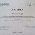 Powiększ obraz: certificate 8