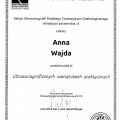 Powiększ obraz: certificate 5