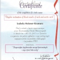 Powiększ obraz: certificate 1
