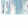 Powiększ obraz: certificate 2