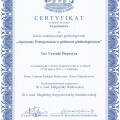 Powiększ obraz: certificate 20