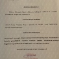 Powiększ obraz: certificate 13