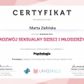 Powiększ obraz: certificate 2