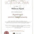 Powiększ obraz: certificate 2