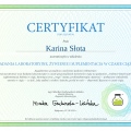 Powiększ obraz: certificate 10