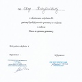 Powiększ obraz: certificate 19