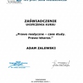Powiększ obraz: certificate 12