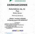 Powiększ obraz: certificate 17