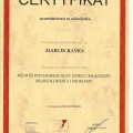 Powiększ obraz: certificate 15