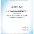 Powiększ obraz: certificate 14