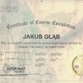 Powiększ obraz: certificate 10