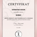 Powiększ obraz: certificate 26
