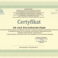 Powiększ obraz: certificate 4