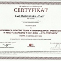 Powiększ obraz: certificate 7