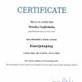 Powiększ obraz: certificate 7